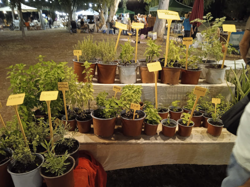 Ξεκινά την Παρασκευή η 12η Πανευβοϊκή γιορτή οικολογικής γεωργίας και χειροτεχνίας