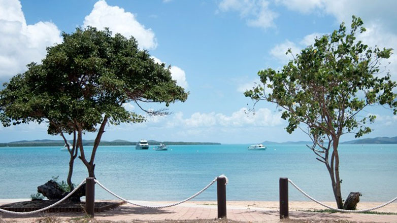 Αυστραλία: Έκθεση προειδοποιεί για τις «αλυσιδωτές» συνέπειες της κλιματικής αλλαγής