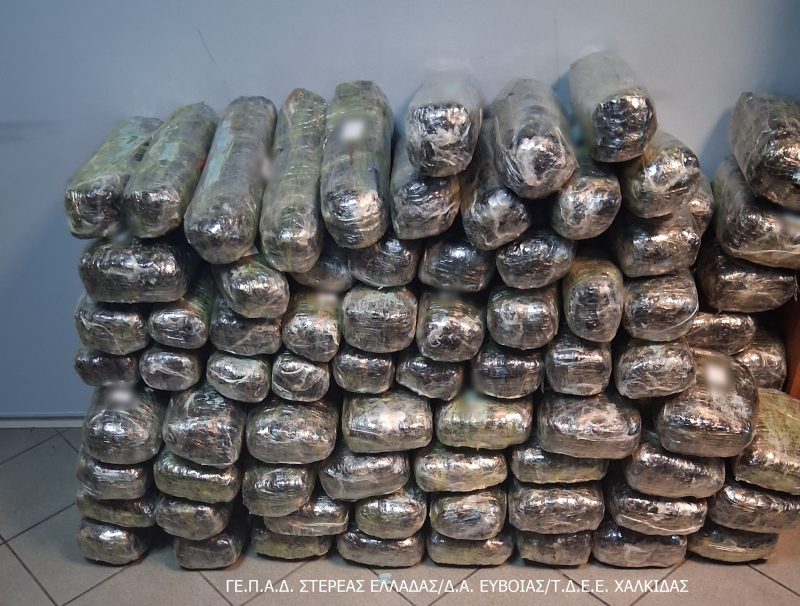 Περισσότερα από 100 κιλά κάνναβης, κατασχέθηκαν από αστυνομικούς στην Κάρυστο