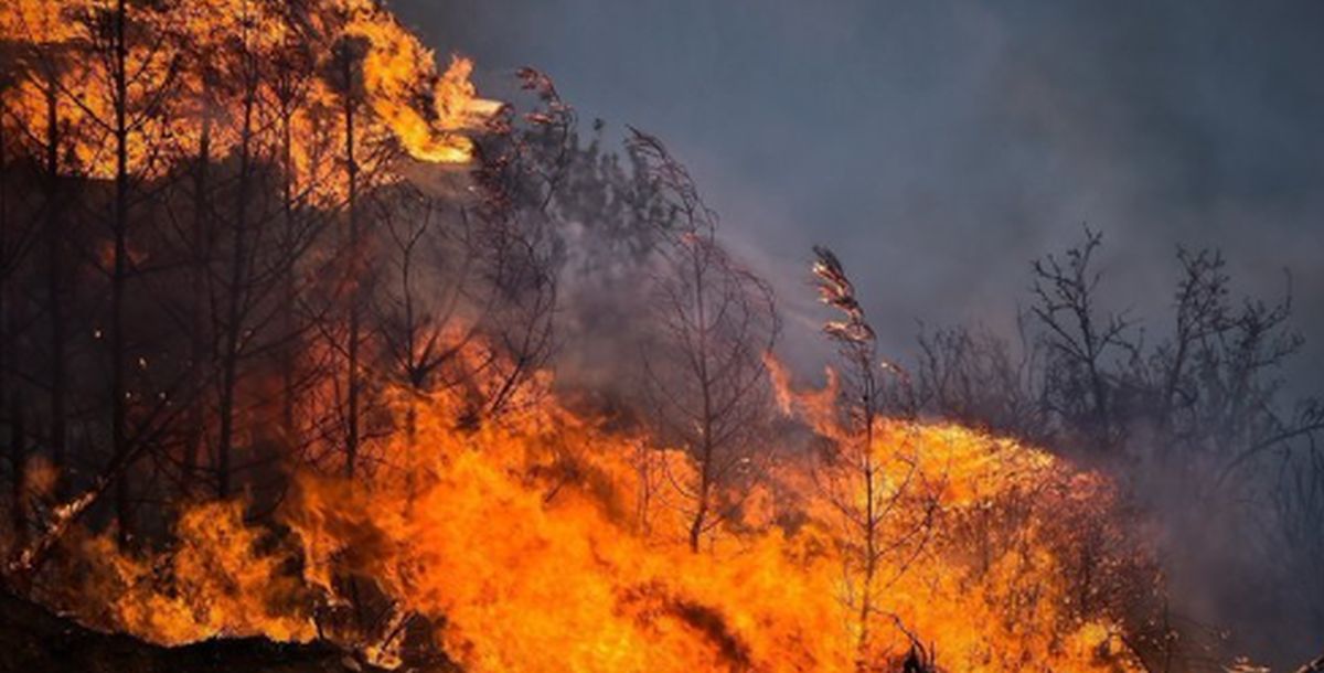 Πυρκαγιά στο Αβραμιό Μεσσήνης – Σηκώθηκαν 4 εναέρια