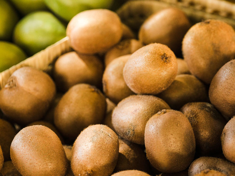 Ιστορικό ρεκόρ για τις εξαγωγές καρπουζιών, φόβοι για πρόωρες εξαγωγές ακτινιδίων Χειγουορθ