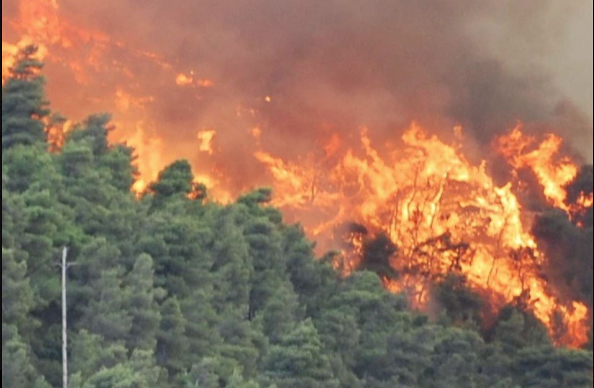 Λέσβος: Ένοχος για εμπρησμό από αμέλεια ο 20χρονος για τη φωτιά στη Βρίσα