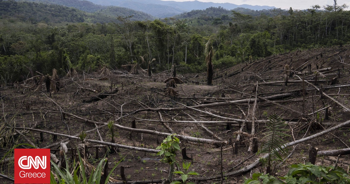 Στο «σημείο χωρίς επιστροφή» το δάσος του Αμαζονίου: Χάθηκε επιφάνεια ίση με την έκταση της Ισπανίας