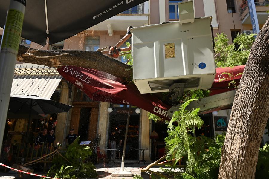 Έπεσε δέντρο σε πλατεία στο κέντρο της Αθήνας (VIDEO)