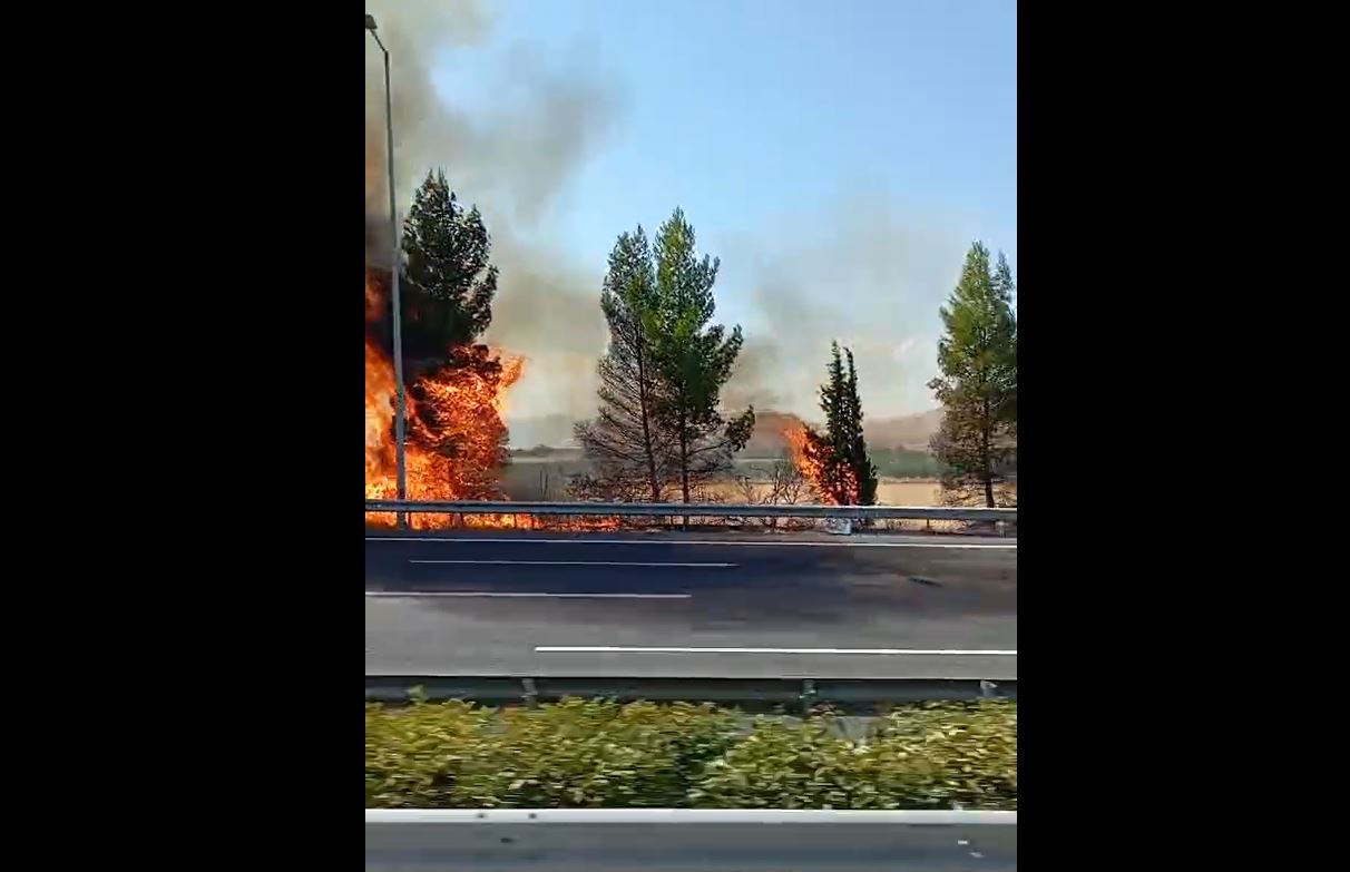 Λάρισα- Φωτιά κοντά στην ΠΑΘΕ (PHOTO)
