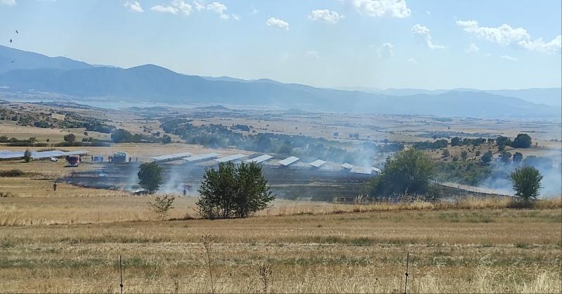 Δείτε φωτογραφίες από τη φωτιά σε φωτοβολταϊκό πάρκο στα Πετρανά Κοζάνης