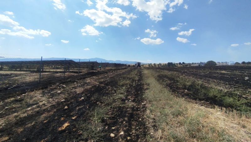 Φωτιά κοντά σε φωτοβολταϊκό πάρκο στα Πετρανά Κοζάνης – Άμεση επέμβαση της Πυροσβεστικής Υπηρεσίας στο σημείο