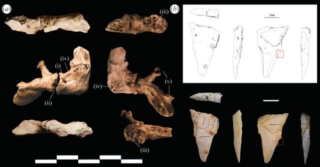 Δολοφονία 12.000 ετών: Ένα από τα πρώτα θύματα ανθρωποκτονίας εντοπίστηκε σε σπηλιά στο Βιετνάμ