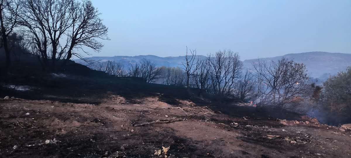 Λέσβος: Σύλληψη νεαρού για πυρκαγιά στη Βρίσα – Εργασίες με τροχό προκάλεσαν τη φωτιά