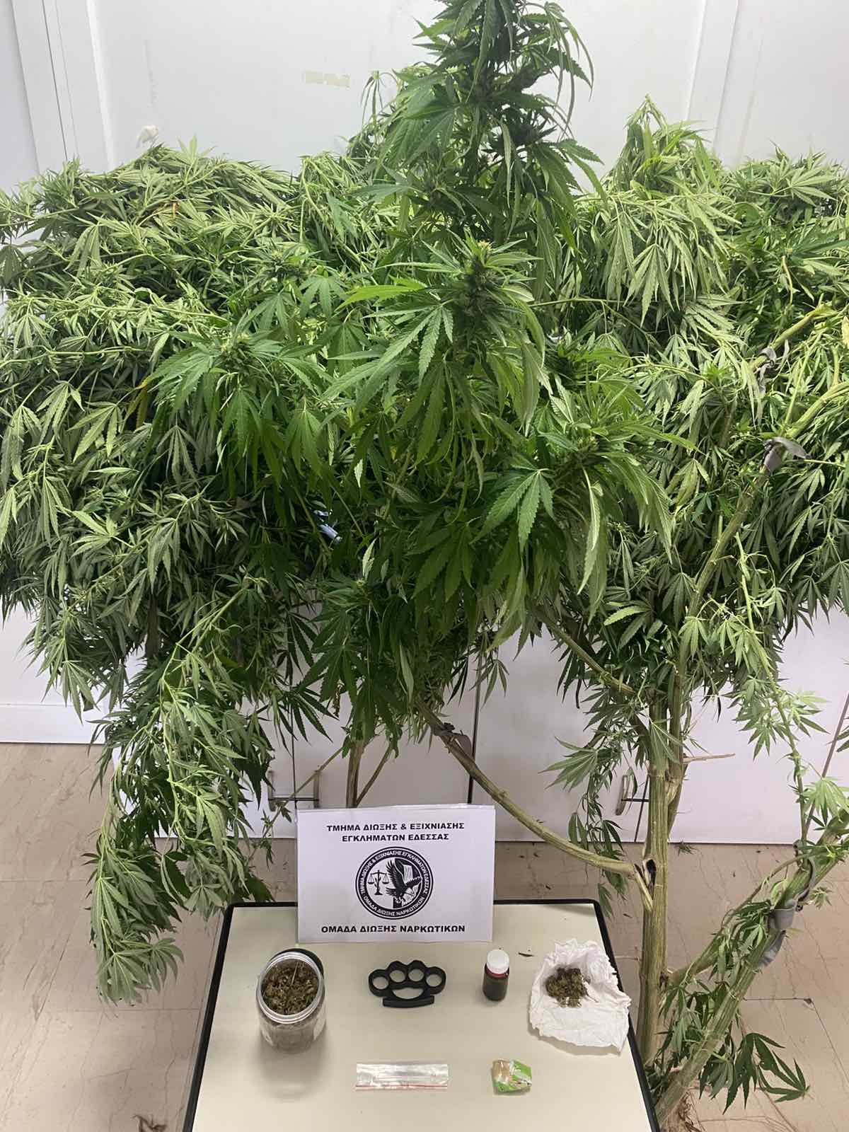 Σύλληψη 39χρονου στην Πέλλα – Τι έκρυβε στο σπίτι του (VIDEO)