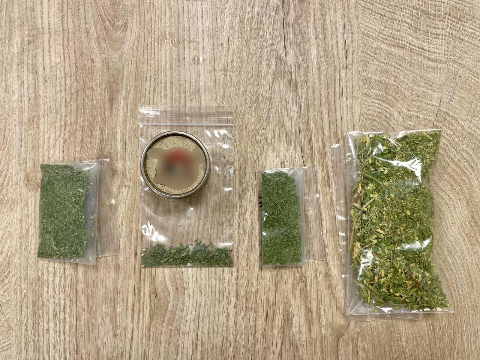 Με τη βοήθεια του σκύλου «Ορφέα» αποκαλύφθηκε χασισοφυτεία στην Καστοριά