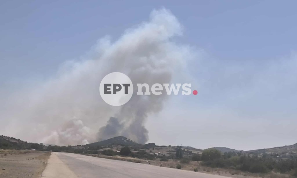 Φωτιά τώρα στην Λέσβο: Δύο εστίες στη Βρίσα – Μήνυμα του 112 (βίντεο)