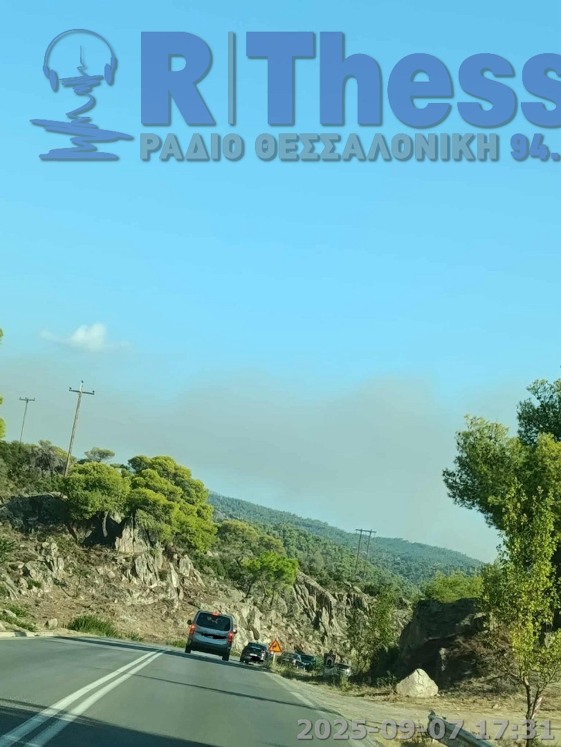 Χαλκιδική- Φωτιά τώρα στην Λαγομάνδρα (PHOTO)