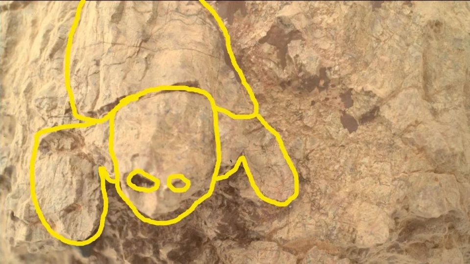 Μια «χελώνα» φωτογράφισε το ρόβερ Perseverance σε αρχαίους βράχους του Άρη