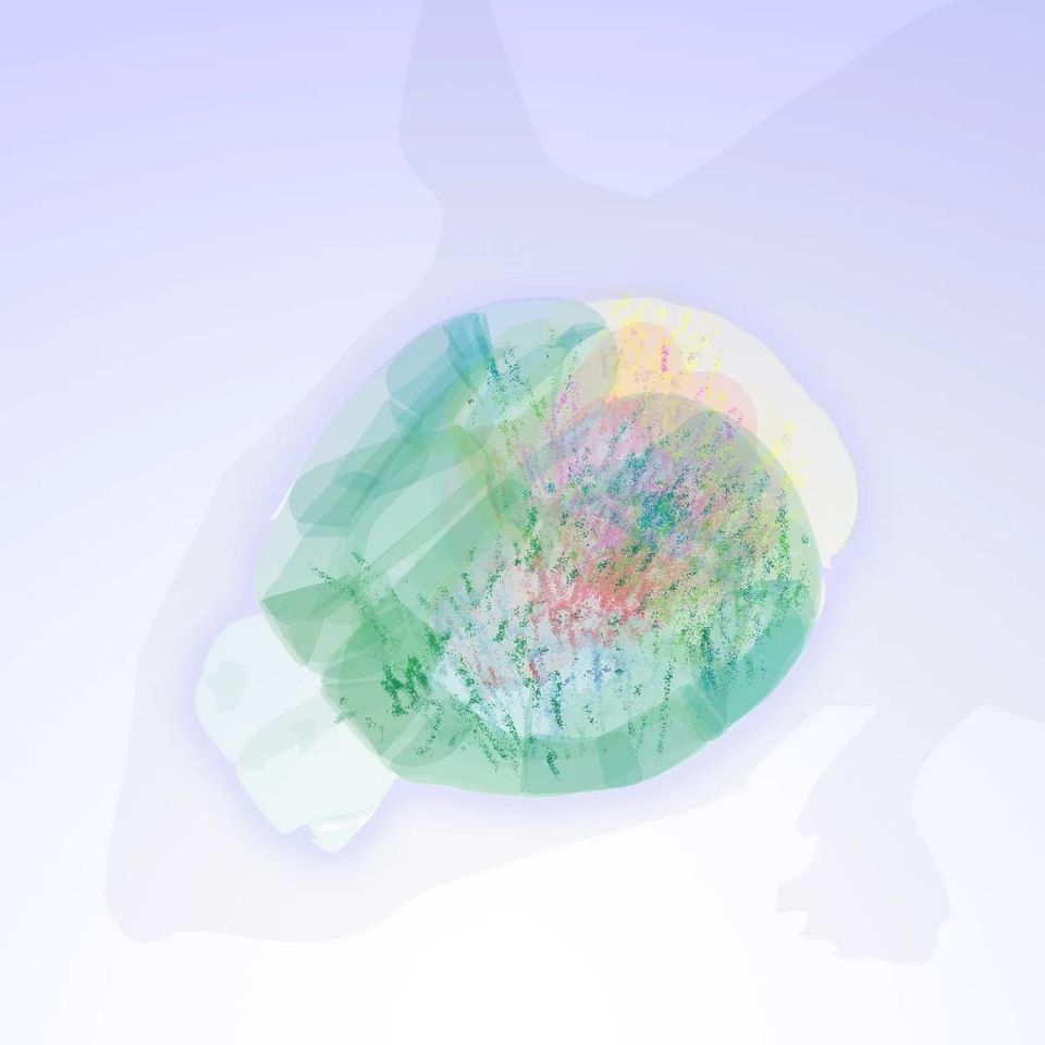 Χάρτης 600.000 εγκεφαλικών κυττάρων αλλάζει όσα ξέραμε για τη λήψη αποφάσεων