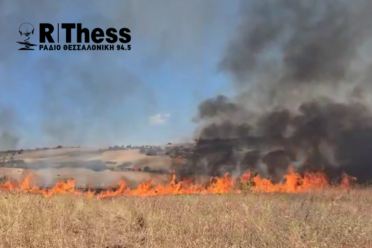 Θεσσαλονίκη: Φωτιά στο Πλαγιάρι (VIDEO)