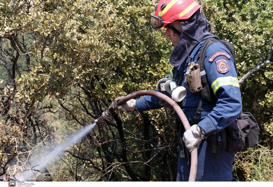 34 αγροτοδασικές πυρκαγιές σε 24 ώρες