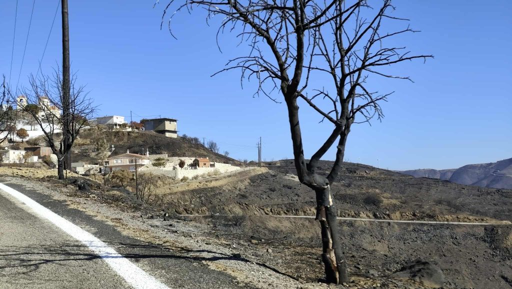 Χίος: Σύσταση «Επιτροπής Υπεράσπισης Αμανής»