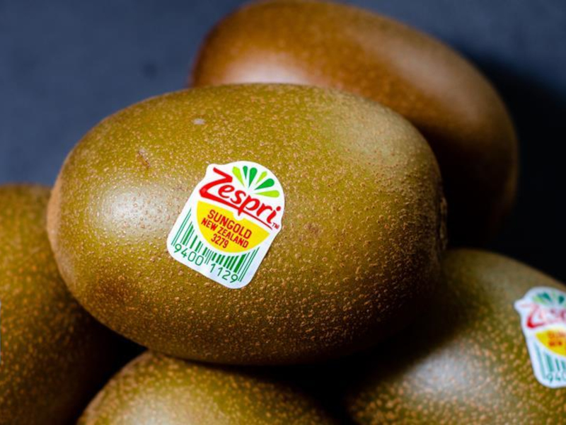 Αποδόσεις ρεκόρ στις περισσότερες ποικιλίες ακτινιδίων αναμένει στη φετινή περίοδο η Zespri