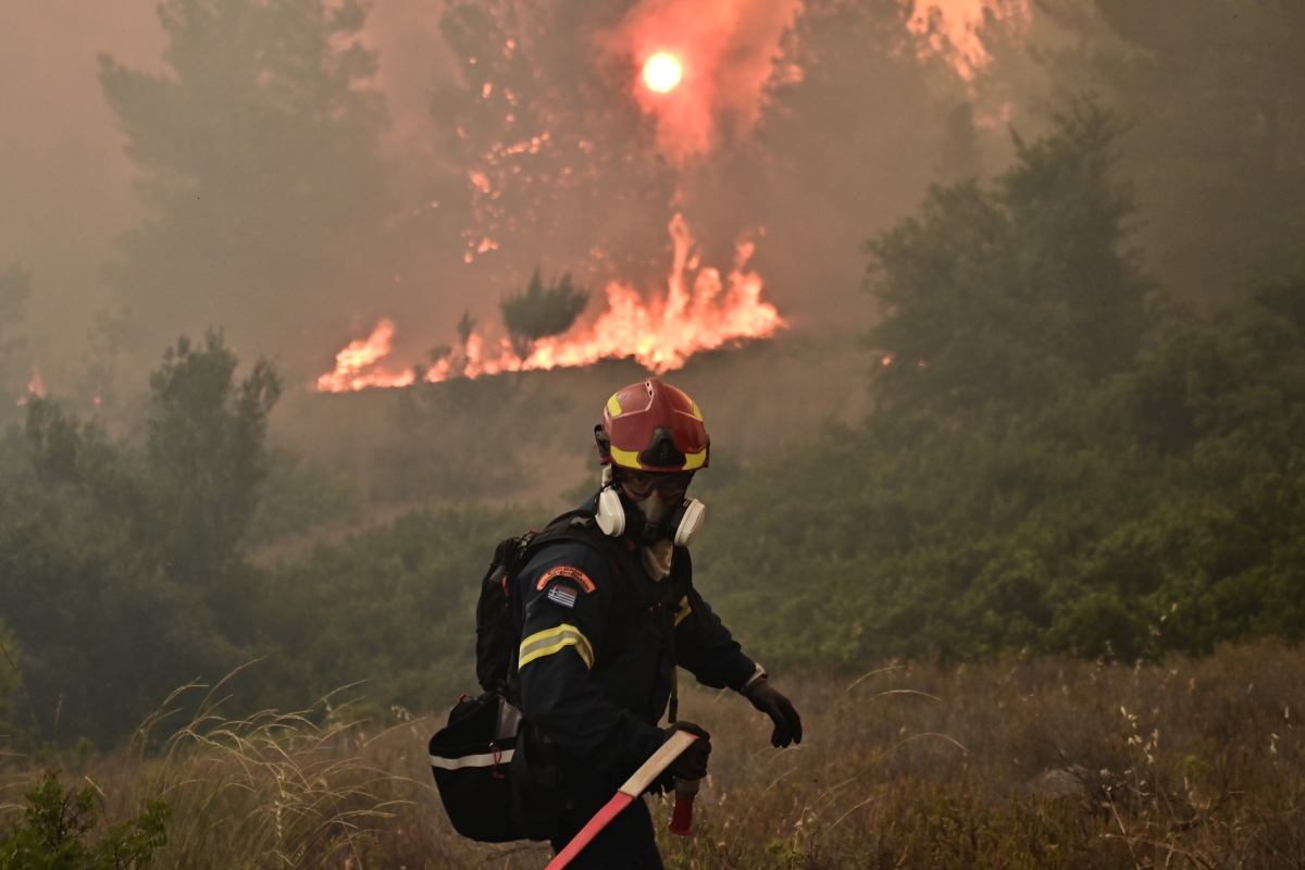 Συναγερμός στo Πήλιο: Φωτιά σε ελαιοπερίβολο – Επέμβαση κατοίκων και αρχών