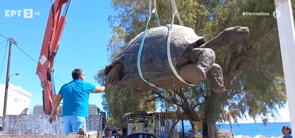 Βατερά Λέσβου: Το νέο Εκθετήριο Παλαιοντολογίας της Βρίσας – Απολιθώματα προϊστορικών αλόγων, μαμούθ και μιας γιγαντιαίας χελώνας