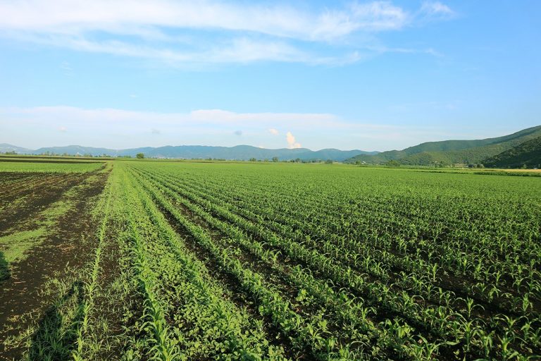 Ημερίδα στην Καβάλα για την ανταγωνιστικότητα του πρωτογενούς τομέα