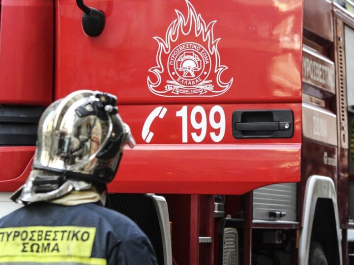 Φωτιά στον Παρακάλαμο Ιωαννίνων – ipeirotika