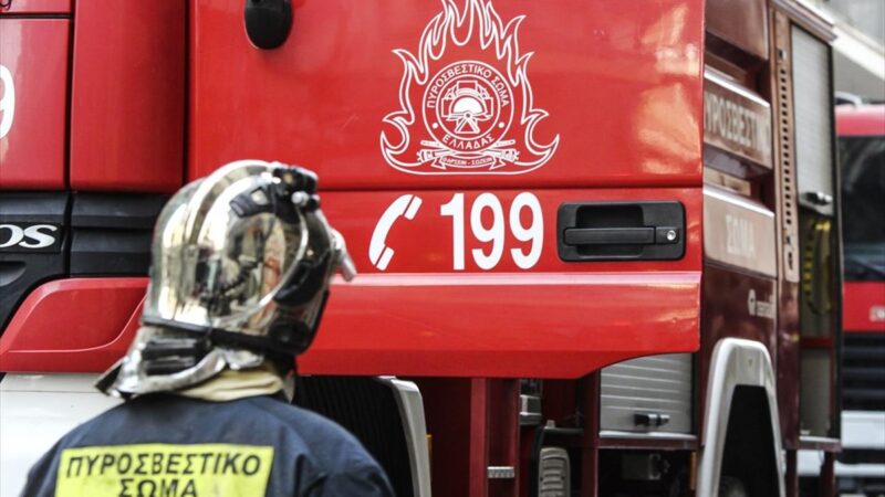 Φωτιά στον Παρακάλαμο Ιωαννίνων – ipeirotika